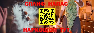 сатива Славгород