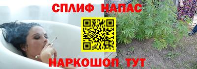 мдма Сланцы