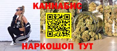 сатива Славгород