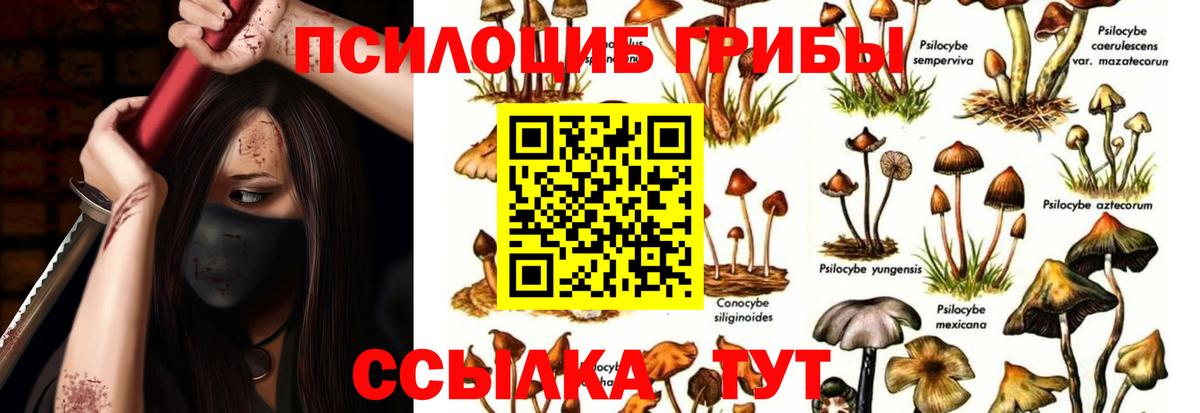 Галлюциногенные грибы MAGIC MUSHROOMS Прохладный